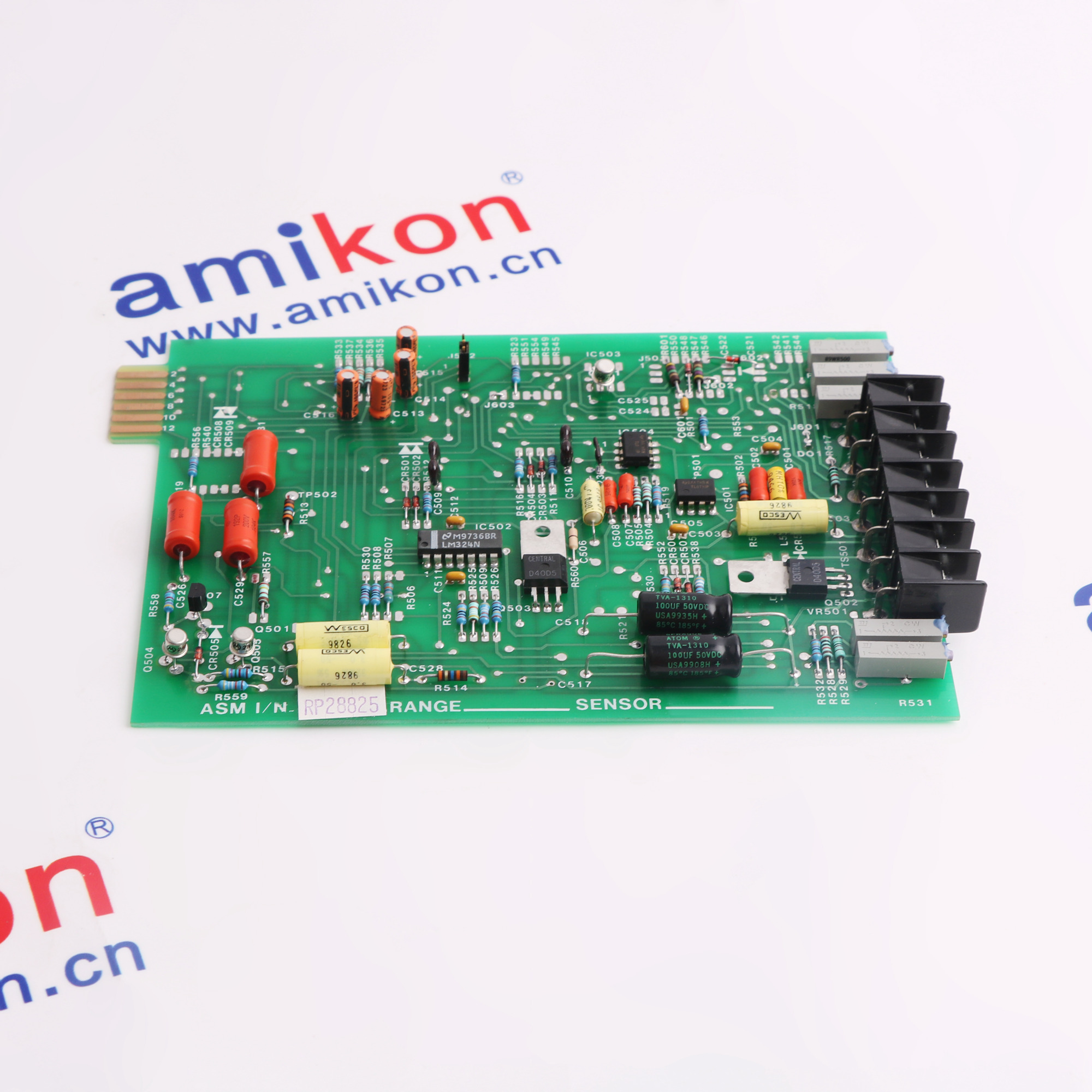 ASM I/N RP28825