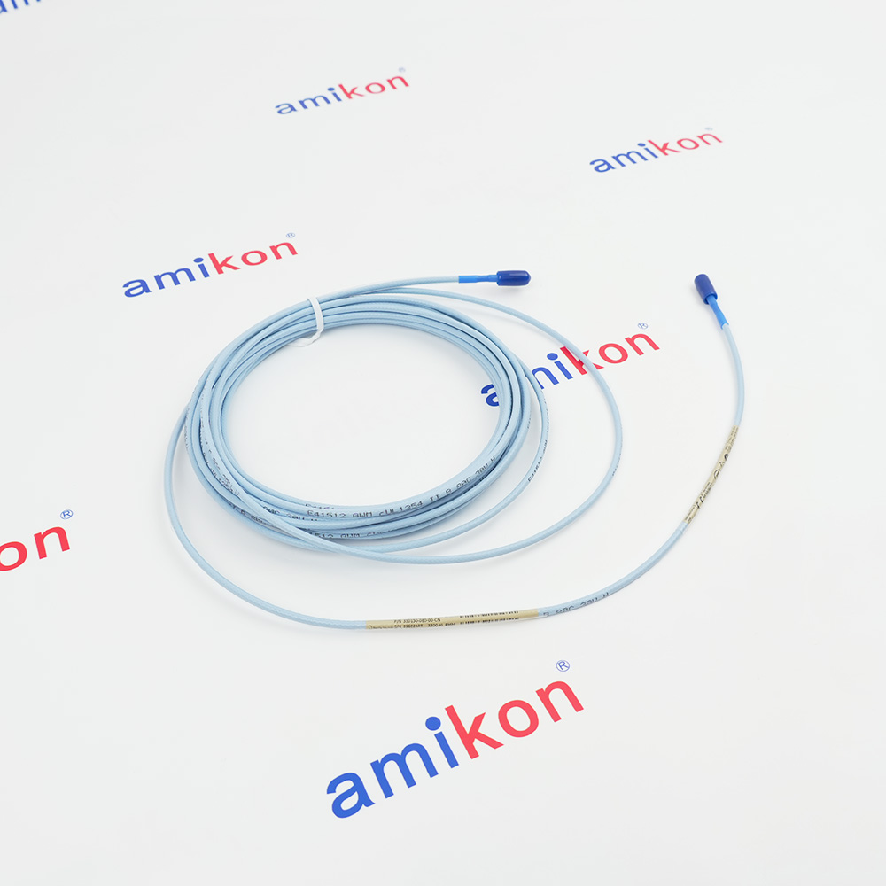 Bently Nevada 330130-080-00-CN