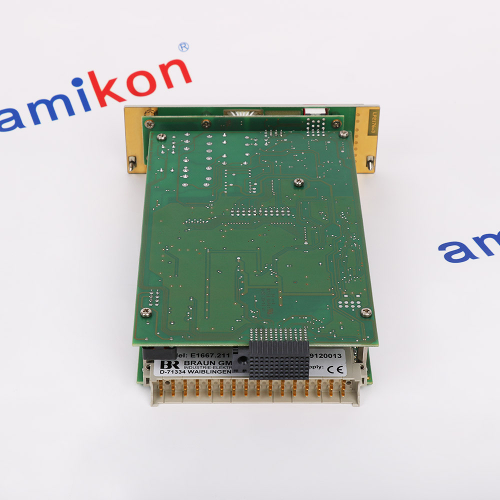 Braun E1667.211  SIL3/IEC61508