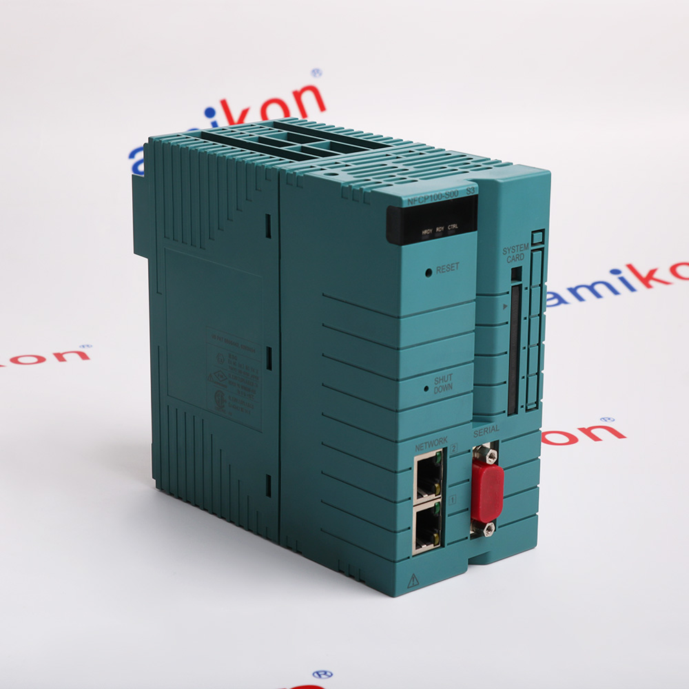 Yokogawa-NFCP100-S00 S3